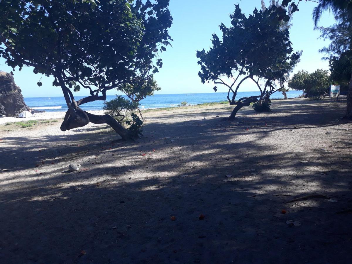 Les Pieds Dans L'Eau ! Leilighet Saint-Gilles-les Bains Eksteriør bilde